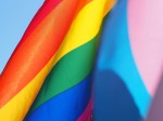 Sydney LGBTIQ+ Advisory Council